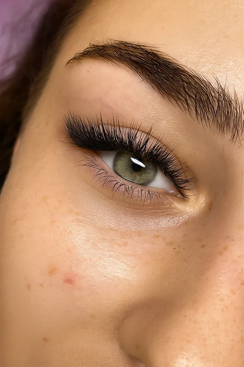 Lash Up, Eyelash Extensions, Extensions, Eyelashes, Eyelash, Lash Extensions, Russian Volume, Mega Volume, Trendy Effect, Russian Volume - Trendy Effect