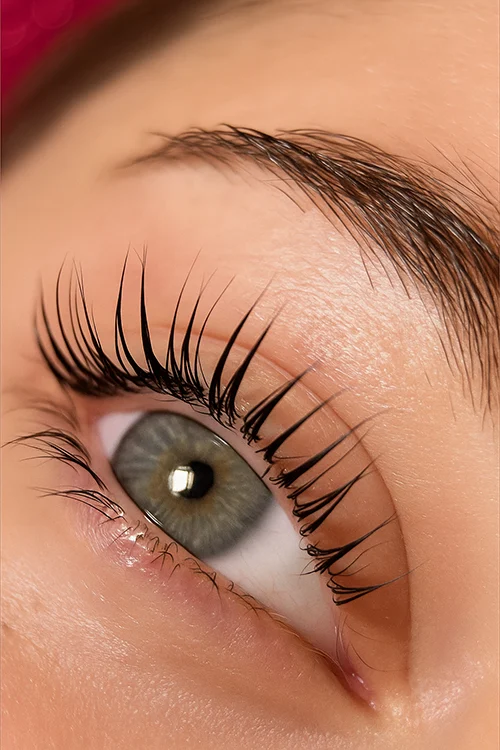 Rehaussement des Cils, Rehaussement de Cils, des cils, cils, Lash Lift, Lash Up