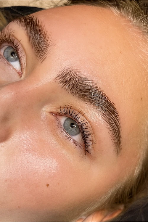 Rehaussement des Sourcils, Brow Lift, Brow Lamination, Lash Up