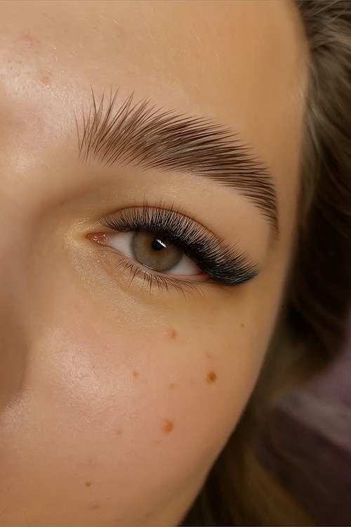 Rehaussement des Sourcils, Brow Lift, Brow Lamination, Lash Up