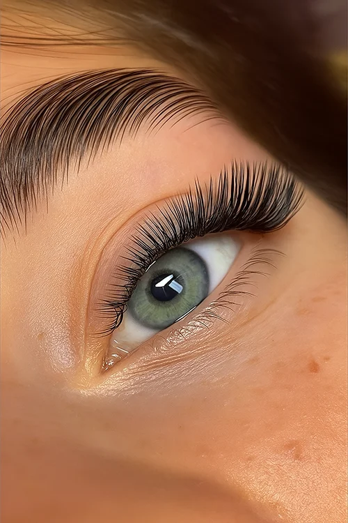 Lash Up, Volume Russe, Volume Russe 3D, Volume Russe 2D à 6D, Extensions de Cils, volume russe cils, volume russe 2d, volume russe avant après