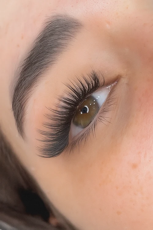 Extensions de Cils, de cils, Extensions, lash Up